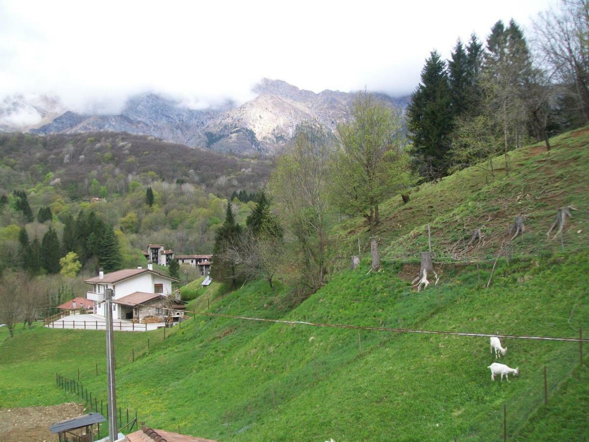 B&B In Fattoria Frisanco Bagian luar foto