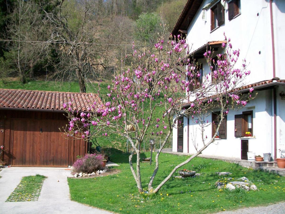 B&B In Fattoria Frisanco Bagian luar foto