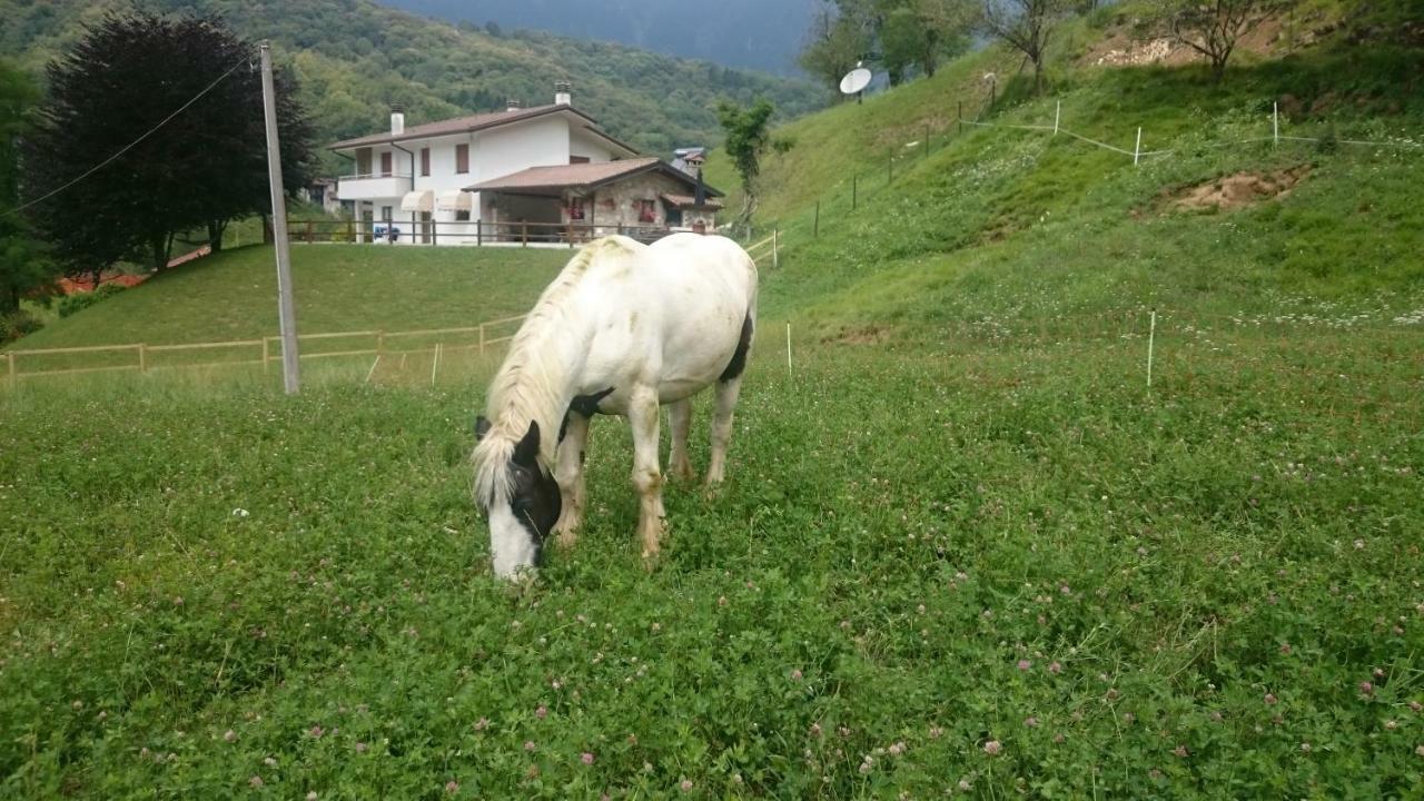 B&B In Fattoria Frisanco Bagian luar foto