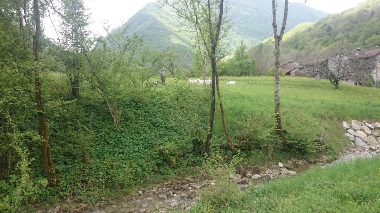 B&B In Fattoria Frisanco Bagian luar foto