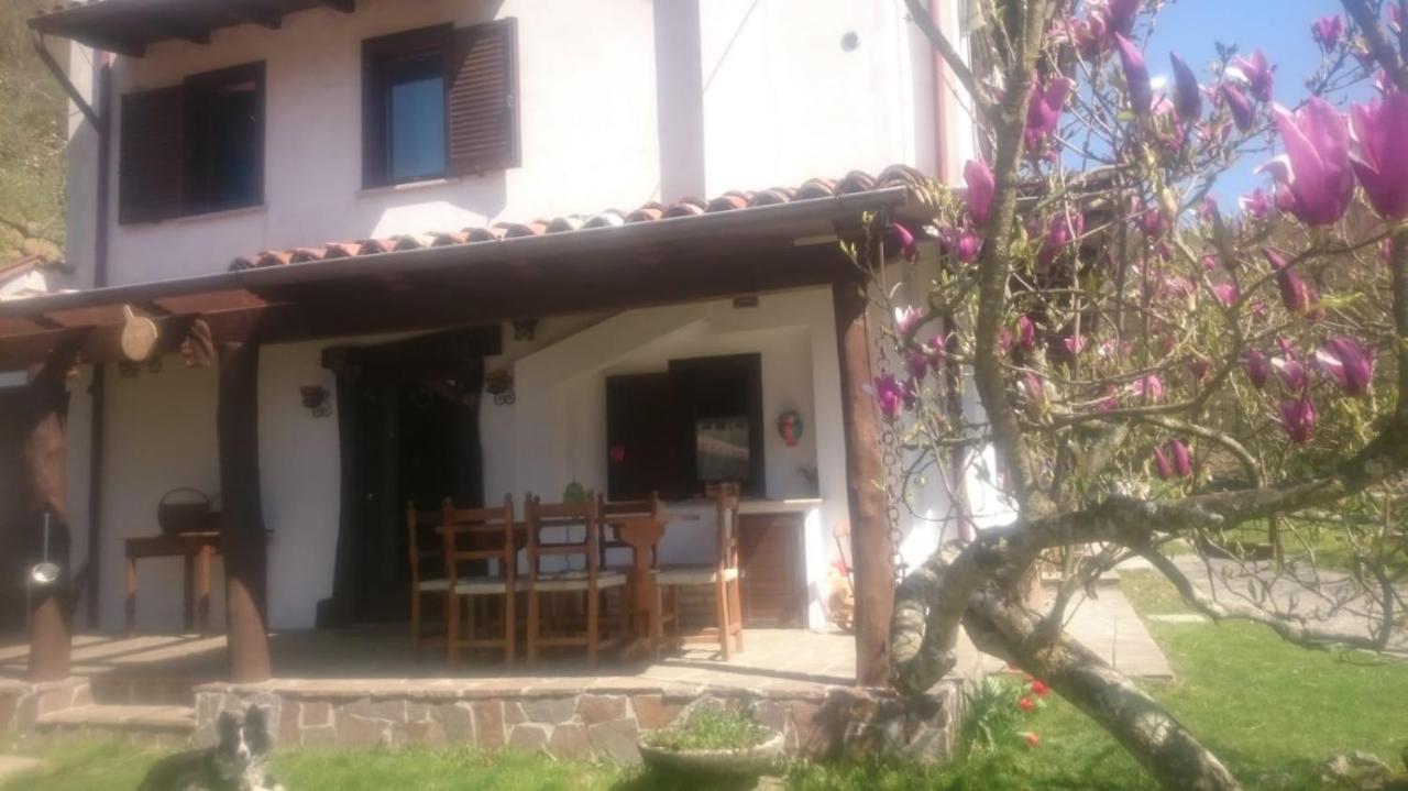 B&B In Fattoria Frisanco Bagian luar foto